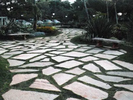 Caminho de jardim em Pedra Goiás